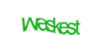 There is supposed to be an image captcha here, you could refresh the page or press the {0} button to try getting another image.
